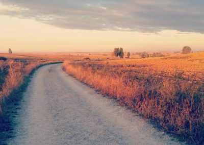 The long and winding trail